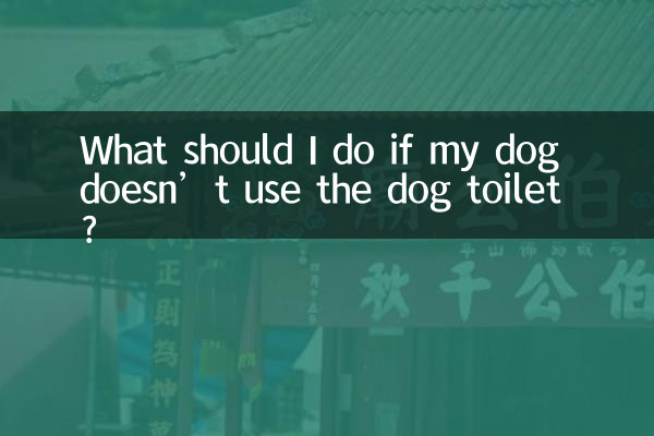 Cosa devo fare se il mio cane non usa la toilette per cani?
