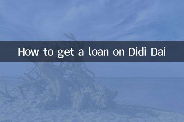 दीदी दाई पर ऋण कैसे प्राप्त करें