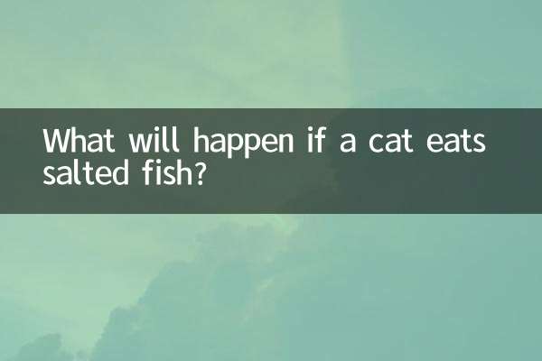 O que acontecerá se um gato comer peixe salgado?
