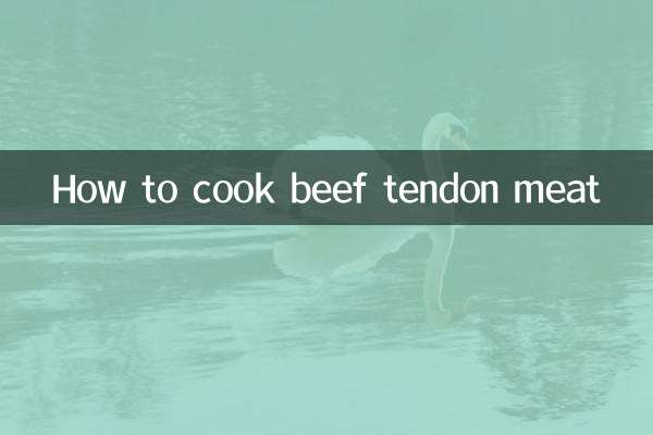 Como cozinhar carne de tendão de boi