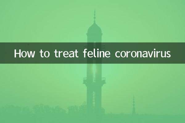 Comment traiter le coronavirus félin