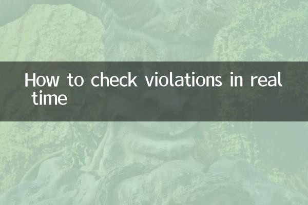 So überprüfen Sie Verstöße in Echtzeit