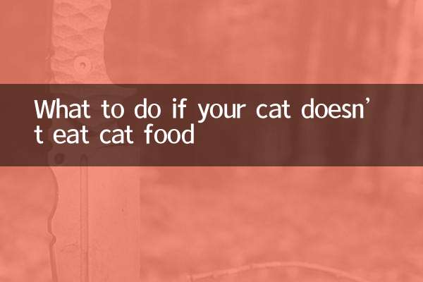 猫がキャットフードを食べない場合の対処法