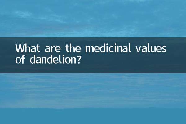 민들레의 약효는 무엇입니까?