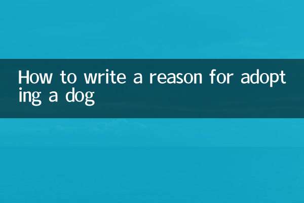Wie schreibe ich einen Grund für die Adoption eines Hundes?