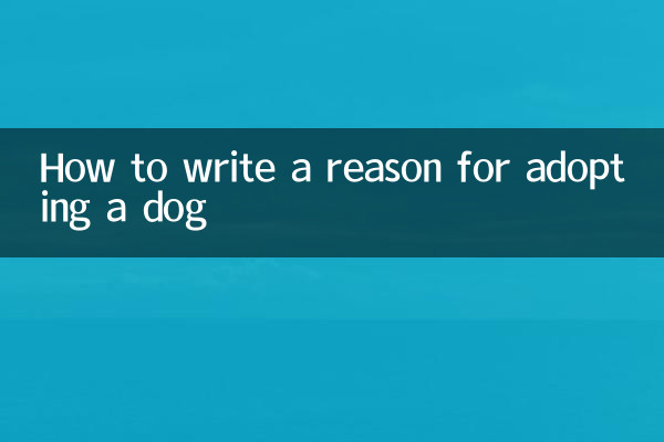 Come scrivere la motivazione per adottare un cane