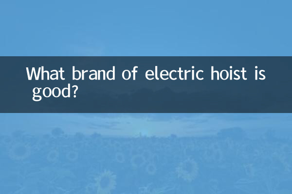 इलेक्ट्रिक होइस्ट का कौन सा ब्रांड अच्छा है?