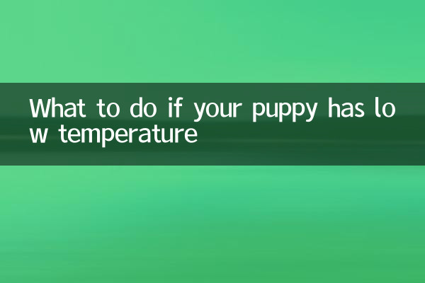 Que faire si votre chiot a une température basse
