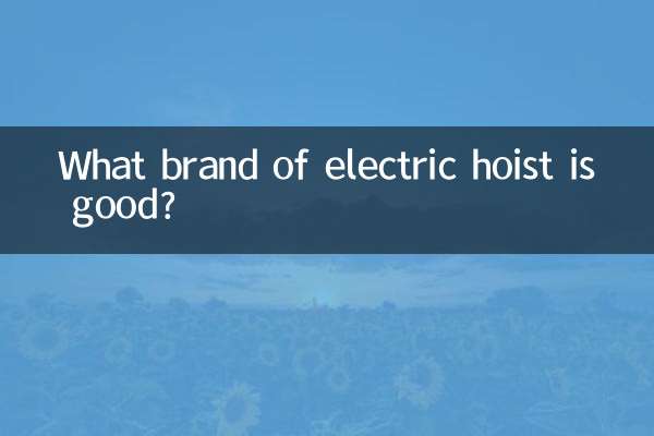 इलेक्ट्रिक होइस्ट का कौन सा ब्रांड अच्छा है?