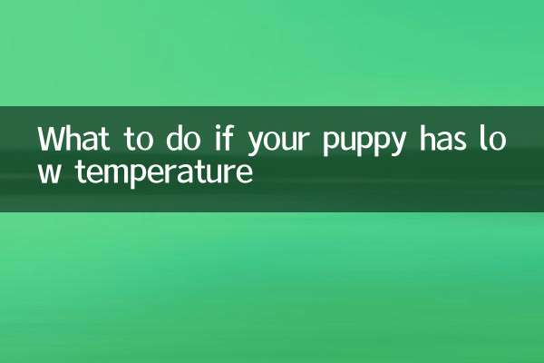 Que faire si votre chiot a une température basse