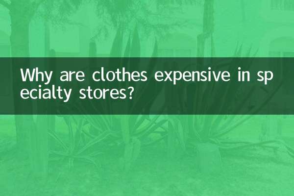 Why are clothes expensive in specialty stores?