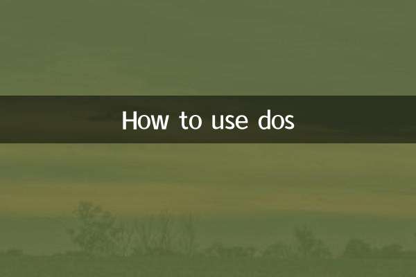 डॉस का उपयोग कैसे करें