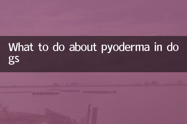 کتوں میں پیوڈرما کے بارے میں کیا کریں