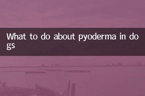 کتوں میں پیوڈرما کے بارے میں کیا کریں