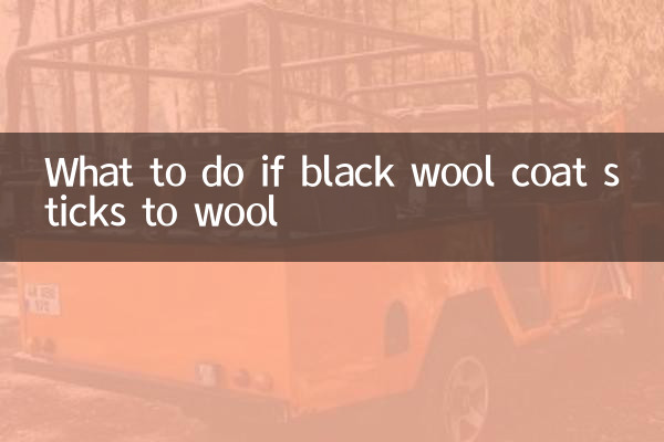 ماذا تفعل إذا التصق معطف الصوف الأسود بالصوف