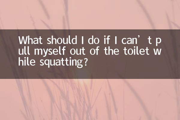 しゃがんだままトイレから抜け出せない場合はどうすればよいですか?