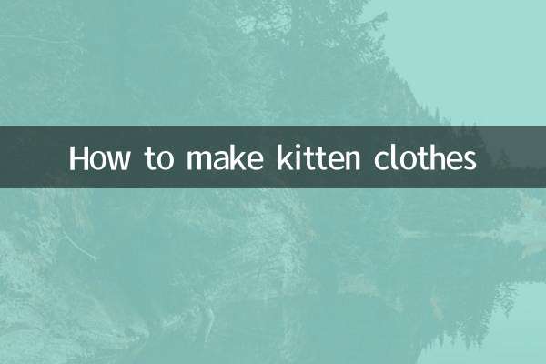 How to make kitten clothes