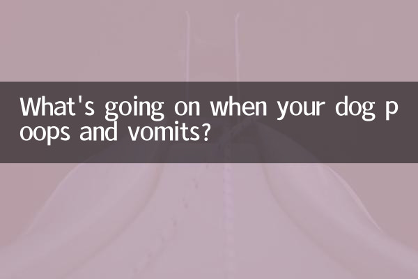 Was passiert, wenn Ihr Hund kackt und erbricht?