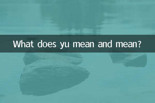 O que você quer dizer e quer dizer?