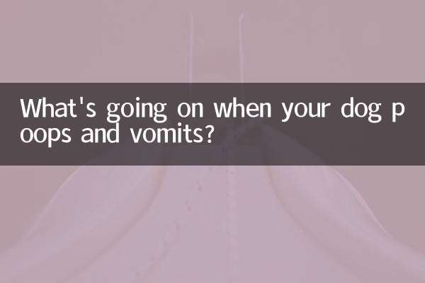 Was passiert, wenn Ihr Hund kackt und erbricht?