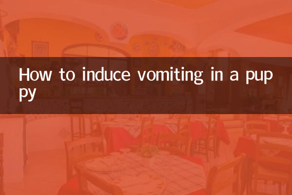 Как вызвать рвоту у щенка