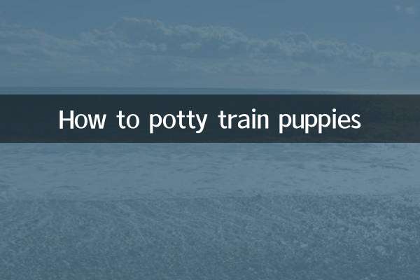 Como treinar filhotes com o penico