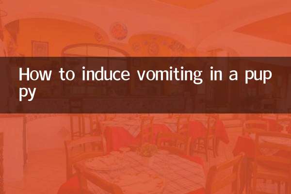 Как вызвать рвоту у щенка
