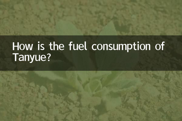 How is the fuel consumption of Tanyue?