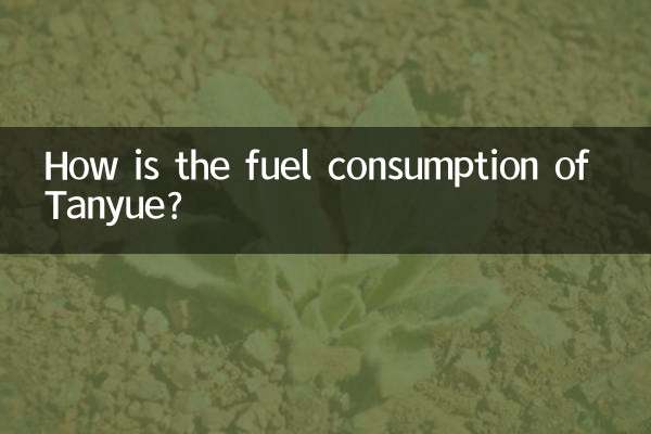 How is the fuel consumption of Tanyue?