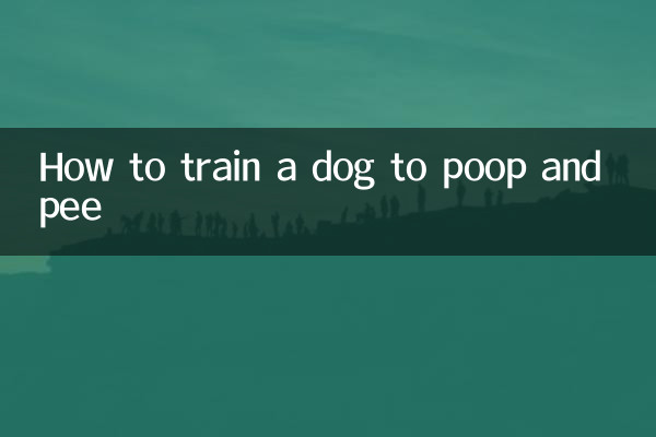 Comment dresser un chien à faire caca et à faire pipi