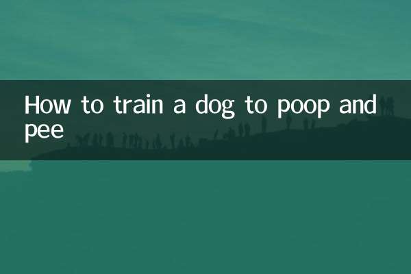 Comment dresser un chien à faire caca et à faire pipi