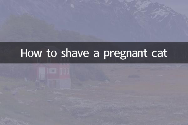 怎麼給孕貓剃毛