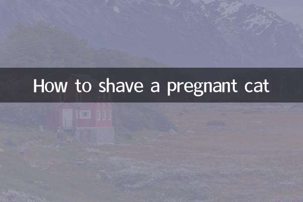 كيفية حلق القطة الحامل