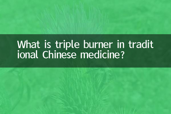 ¿Qué es el triple quemador en la medicina tradicional china?