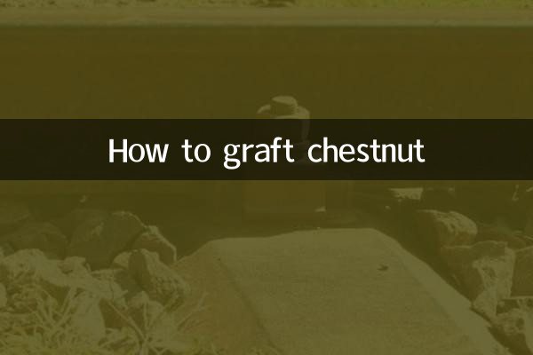 Como enxertar castanha