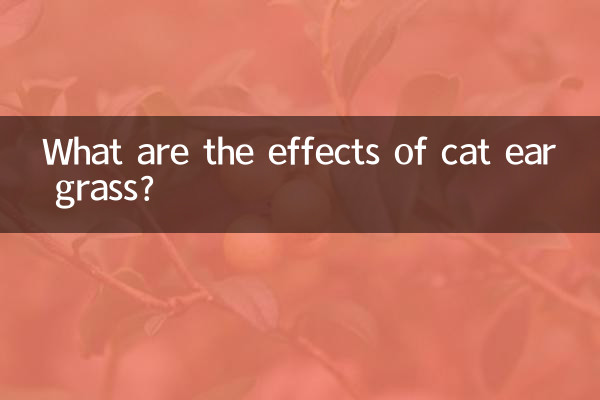 ¿Cuáles son los efectos de la hierba oreja de gato?