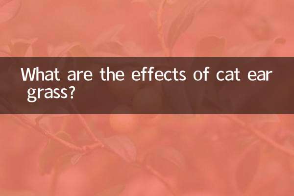 Quali sono gli effetti dell'erba dell'orecchio di gatto?