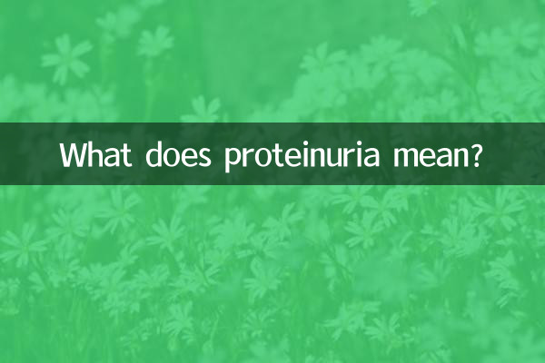 尿蛋白什么意思