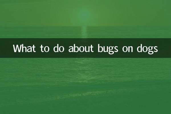 در مورد حشرات سگ ها چه باید کرد