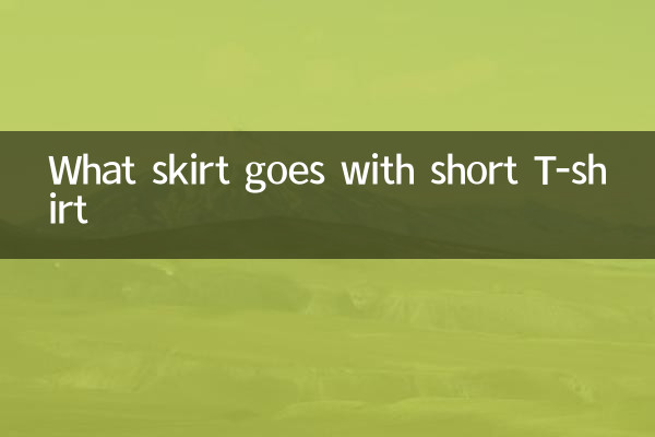 短いTシャツに合うスカートは何ですか