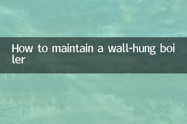 دیوار سے لپٹے ہوئے بوائلر کو کیسے برقرار رکھیں