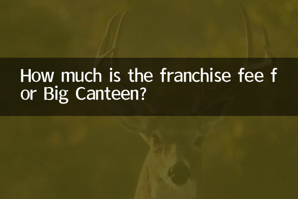 Quel est le montant des frais de franchise pour Big Canteen ?