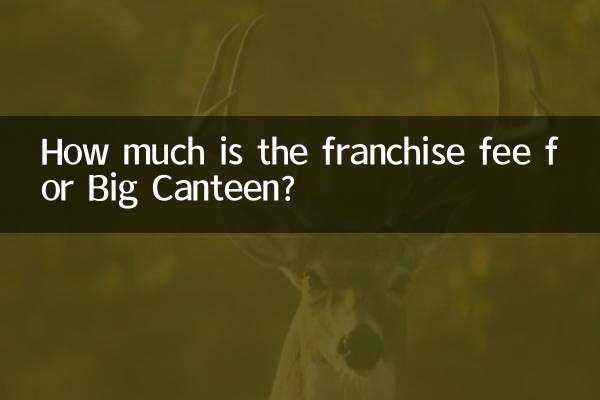 Quanto costa il franchising per Big Canteen?
