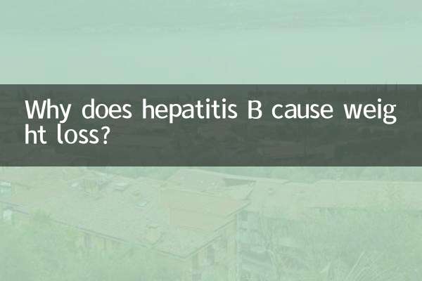 Pourquoi l’hépatite B entraîne-t-elle une perte de poids ?