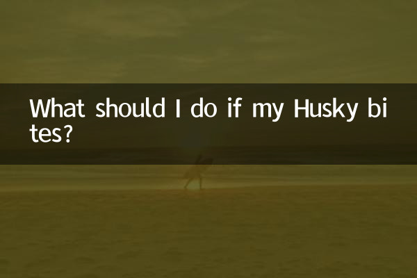 哈士奇愛咬人怎麼辦