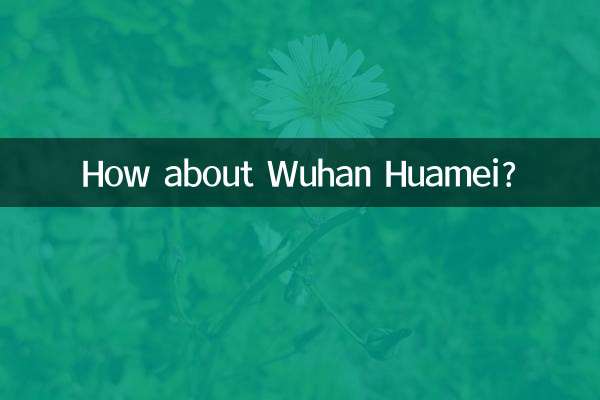 Wie wäre es mit Wuhan Huamei?
