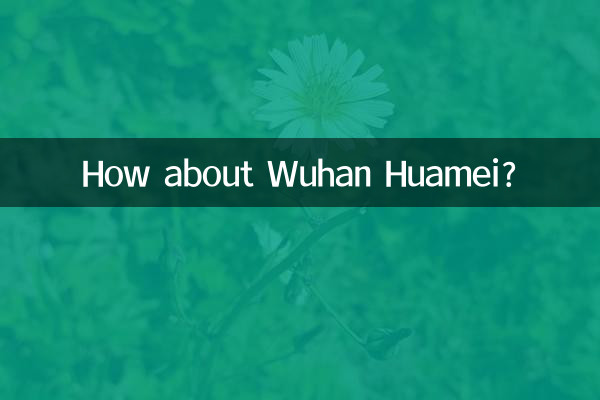 ¿Qué tal Wuhan Huamei?