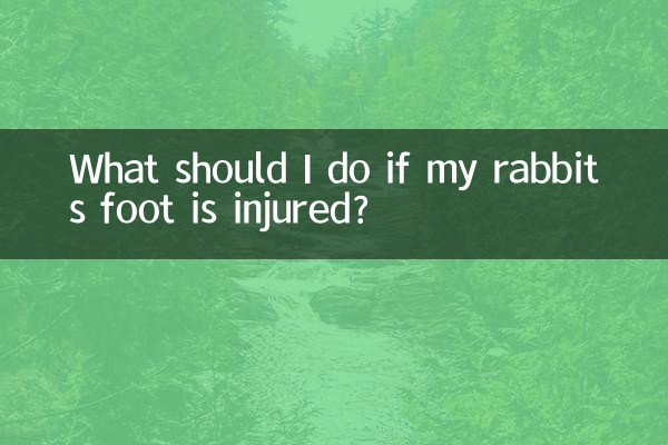 Que dois-je faire si la patte de mon lapin est blessée ?