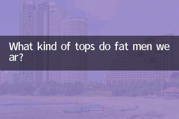 太った男性はどんなトップスを着ていますか？