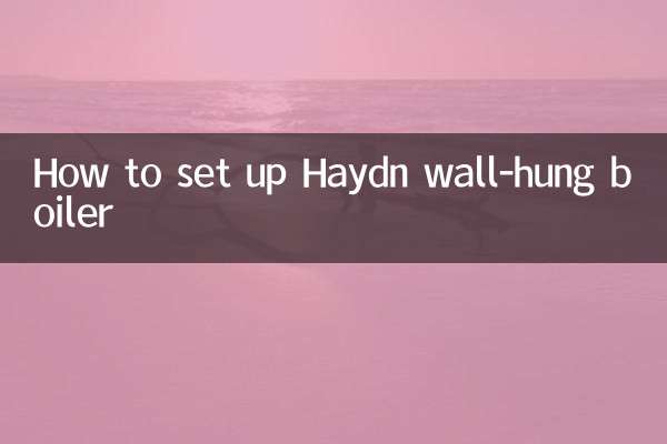 ہیڈن وال ہنگ بوائلر کو کیسے ترتیب دیں